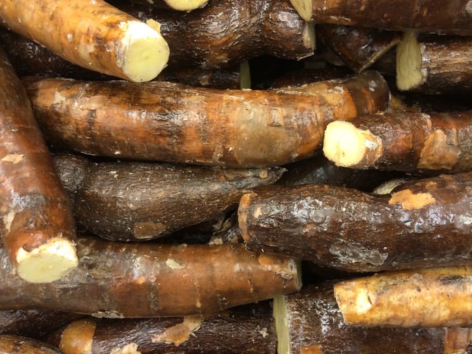 Could ancient Peruvian crops promote a healthy gut and help those living with type 2 diabetes?