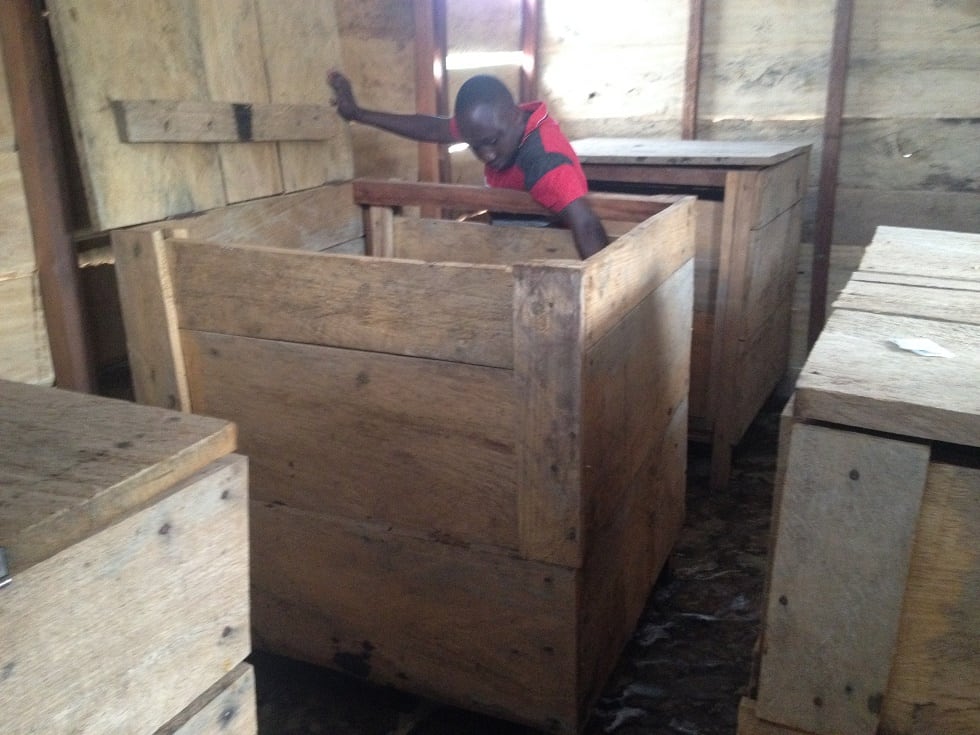 congo-cocoa-drying.jpg