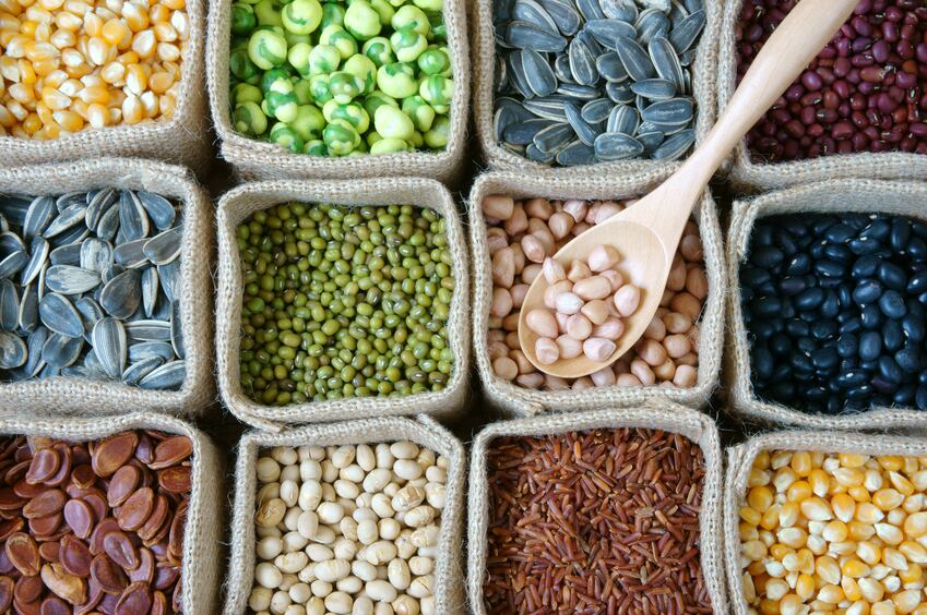 France-s-Sabarot-becomes-an-entreprise-a-mission-Our-mission-is-to-support-the-dietary-transition.jpg