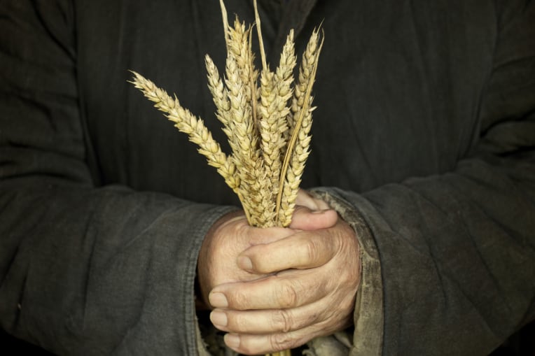 Four actions food businesses can take to boost affordability and availability 