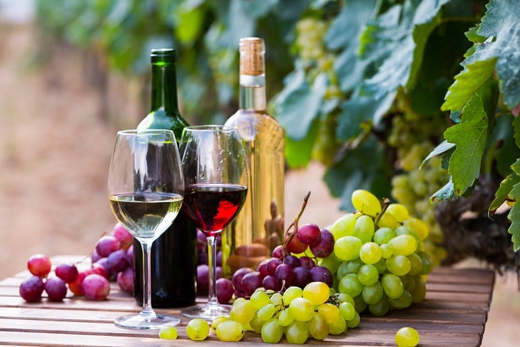 Are central European wines on the brink of extinction?