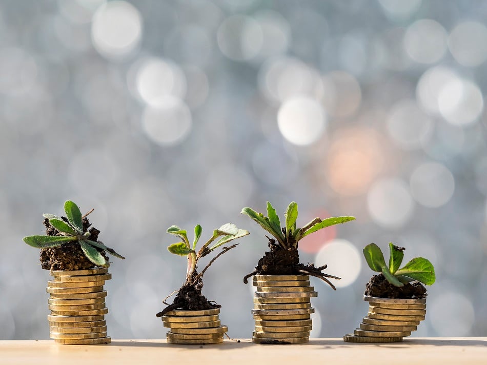 Wild-Friends-Foods-and-Cusa-Tea-secure-investments-from-S-CAP.jpg