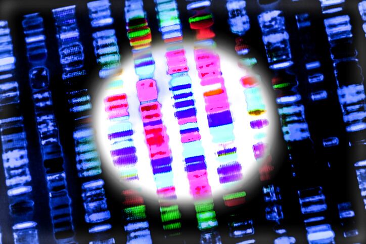 genome-sequence-dna-wgs-Gio_tto.jpg