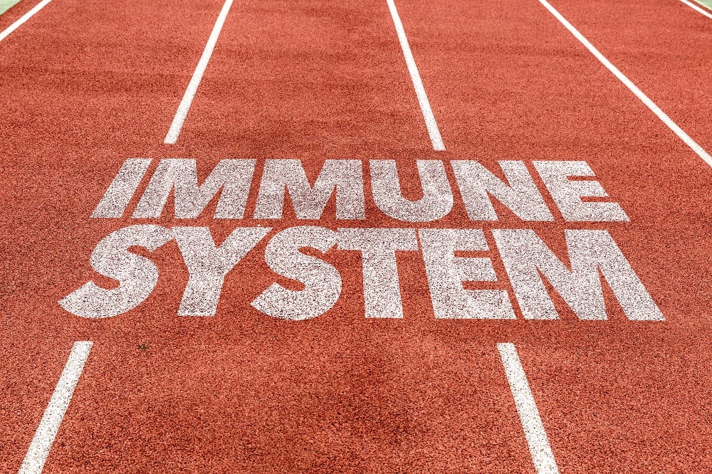 Immune health functional foods see new high in Japan