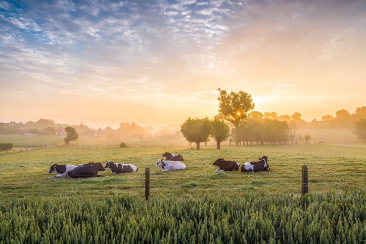 Farmers hit back as BBC documentary exposes meat production’s ‘devastating effect on ecosystems’