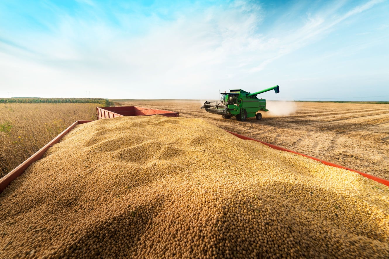 The-Co-op-s-sustainable-soy-pledge-There-are-certain-things-that-customers-just-expect.jpg