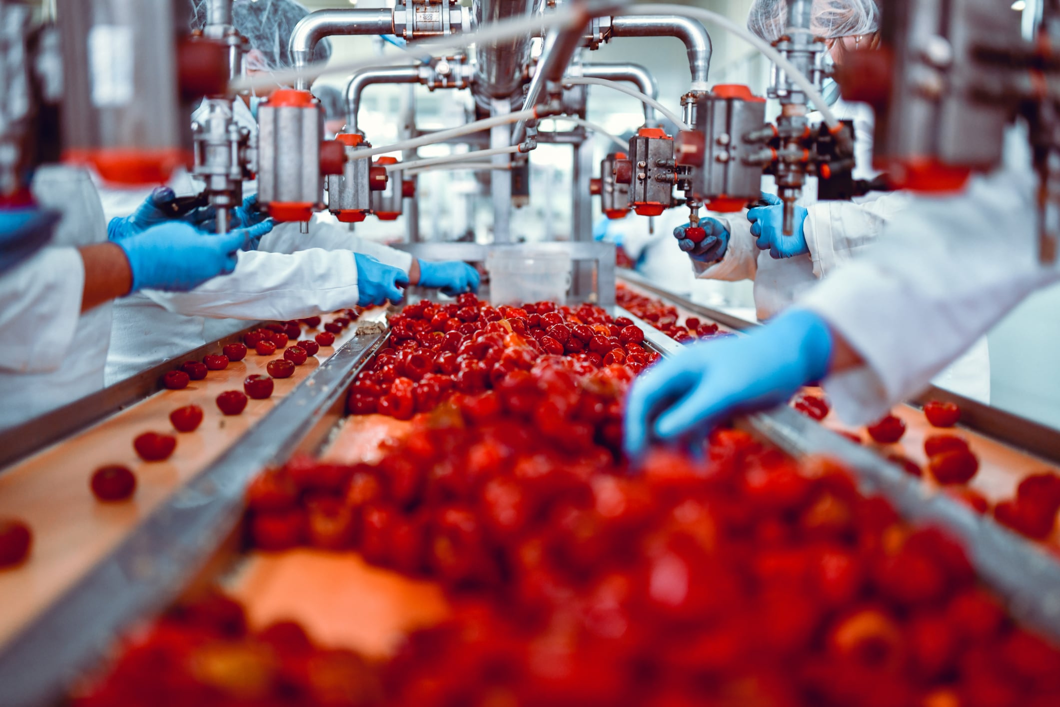 Can farming and food in Europe be improved?