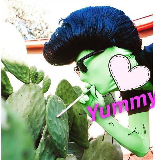 nopal-cactus-paddles.jpg