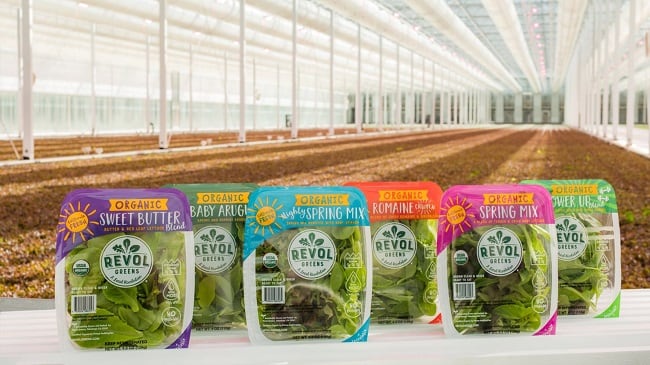 Revol-Greens-Organic-Salad-Blends.jpg