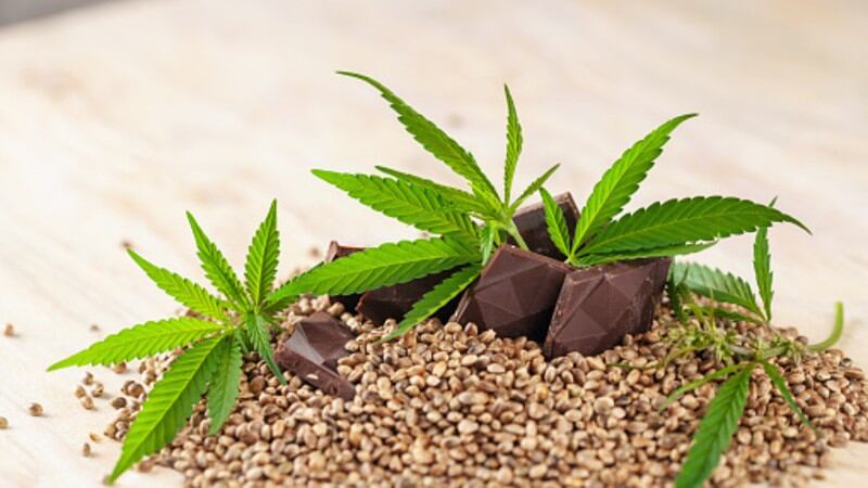 Hemp-and-CBD.jpg