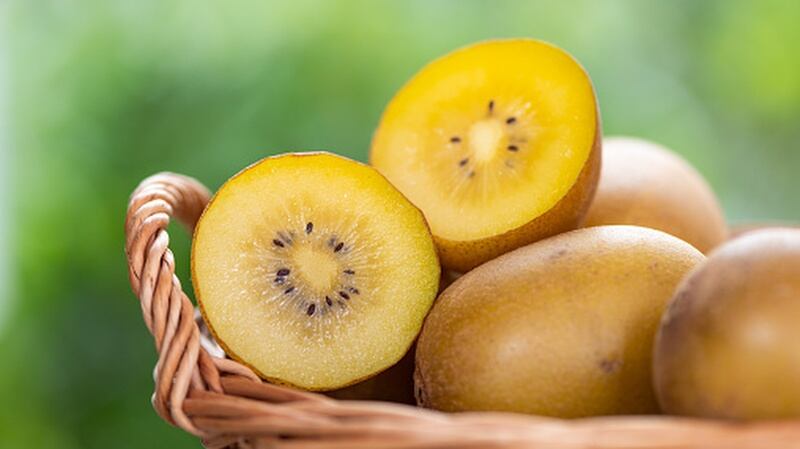 How-much-can-new-China-IP-protection-policies-aid-Zespri-s-quest-against-unlicensed-kiwifruits.jpg
