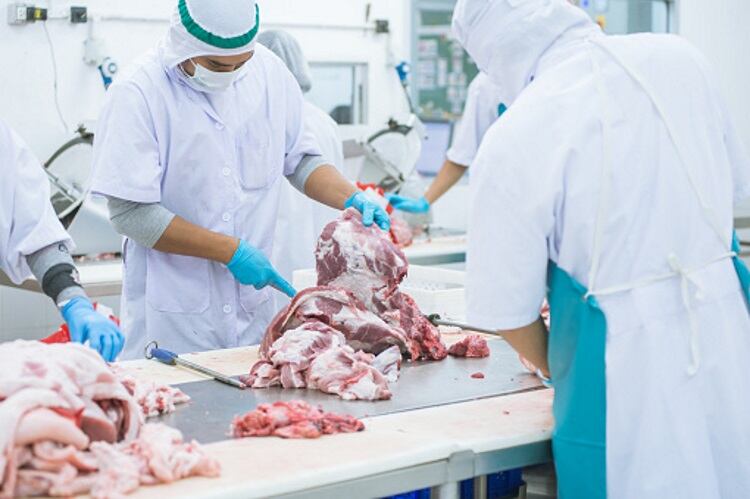 Support offered for Flemish mobile abattoir team