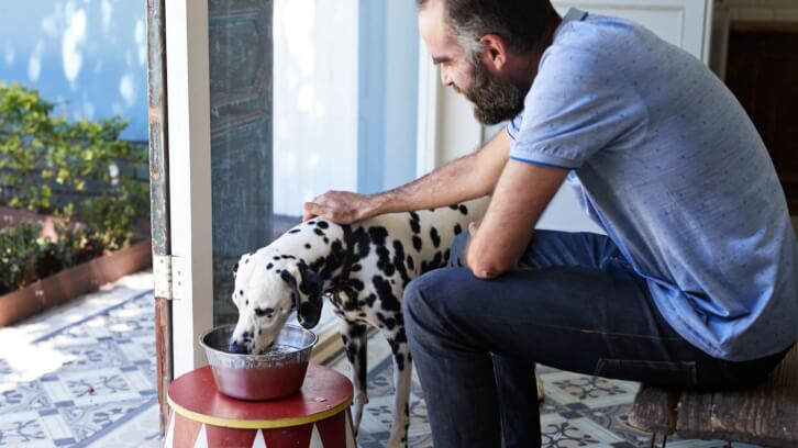 Demand-grows-for-innovative-private-label-pet-foods.jpg