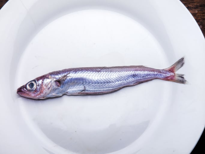 blue-whiting-fish-omega-3-protein-calcium-iStock-Algefoto.jpg