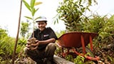 Palm oil: Why shared responsibility is needed to cement sustainability improvements