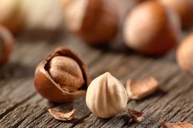 ‘Sacrificing nature and jeopardising health’: ClientEarth lawsuit alleges intensive hazelnut farming poisoning drinking water in Italy