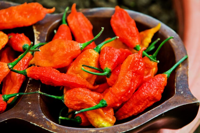 Ghost-pepper-chili.jpg