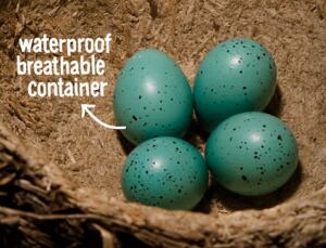 biomimicry-eggs.jpg