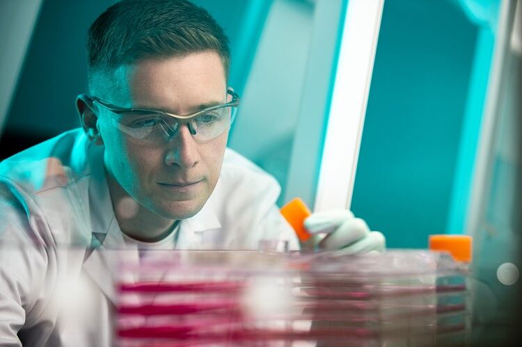Meet the CDMO centralising capabilities to market cell-based meat ‘years faster’ and ‘millions cheaper’