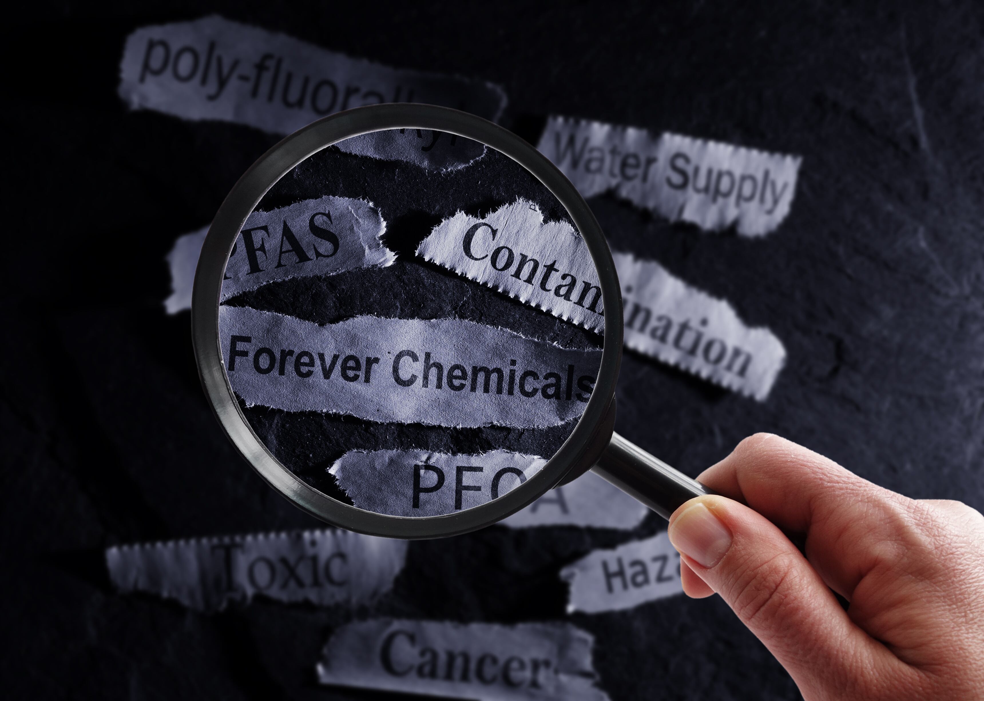 Don’t judge a book by its cover - why not all PFAS are harmful 