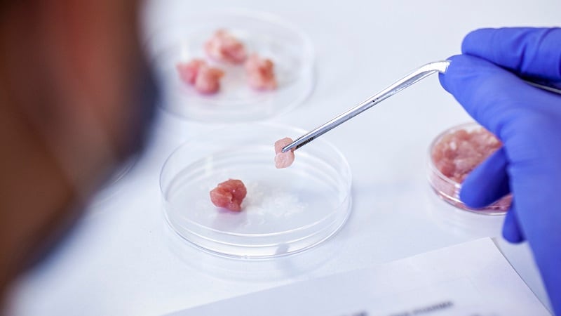 UC Davis opens alt protein center to fill ‘the impending gap’ between meat demand, production