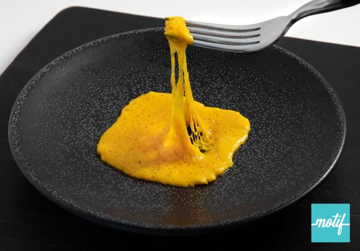 Plant-based-cheese-meat-formulation-gamechanger-Motif-FoodWorks-gains-exclusive-access-to-two-transformative-technologies.jpg