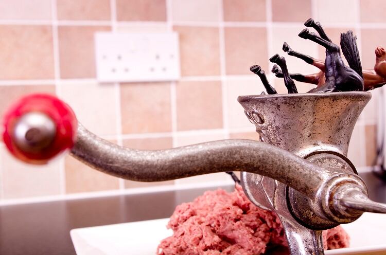 Are we headed for Horsegate 2.0? COVID-19 escalates risk of meat fraud