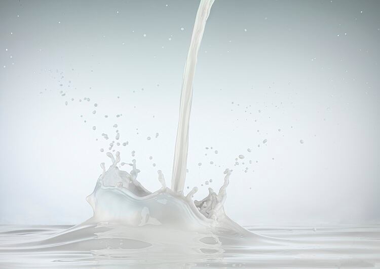 Alt meat and dairy in the spotlight: Last chance to register for Protein Vision 2023