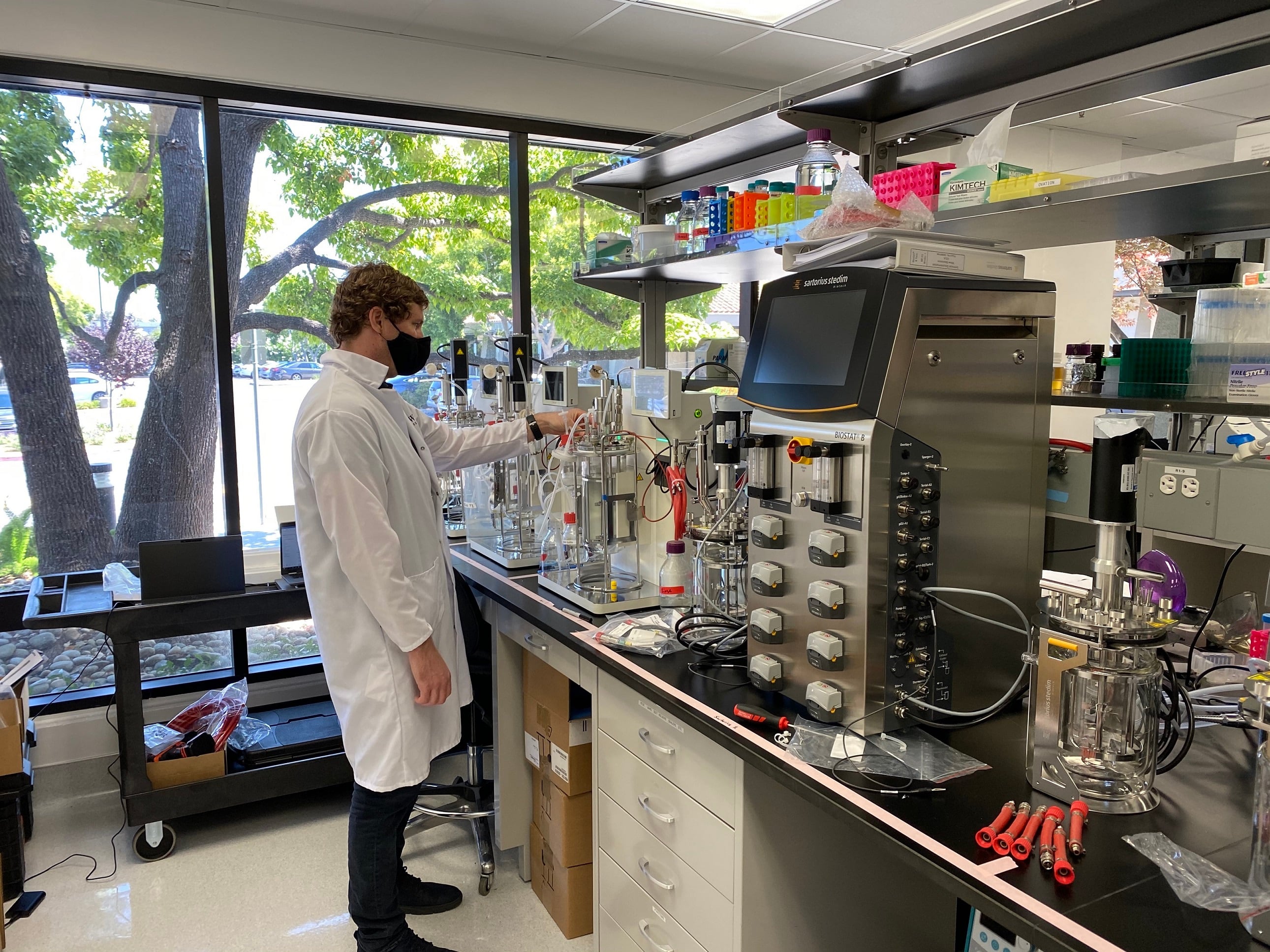 Willow Biosciences to start pilot production of biosynthetic CBG in Q3