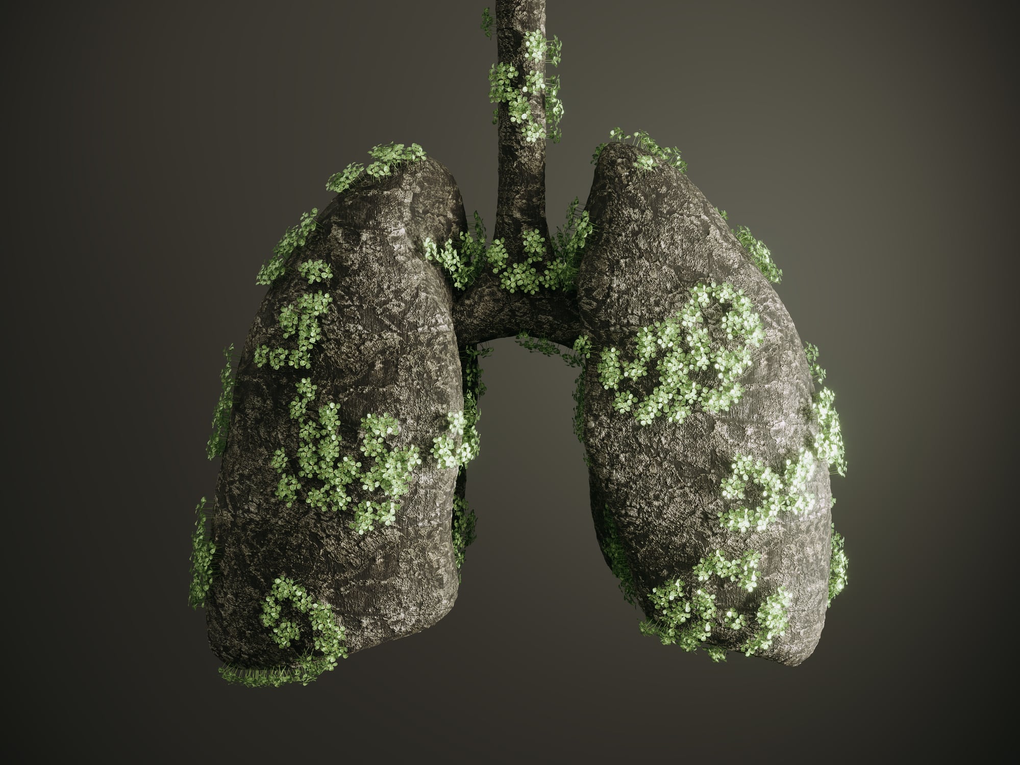 Lungs made out of forest