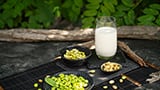 The production of milk alternatives 