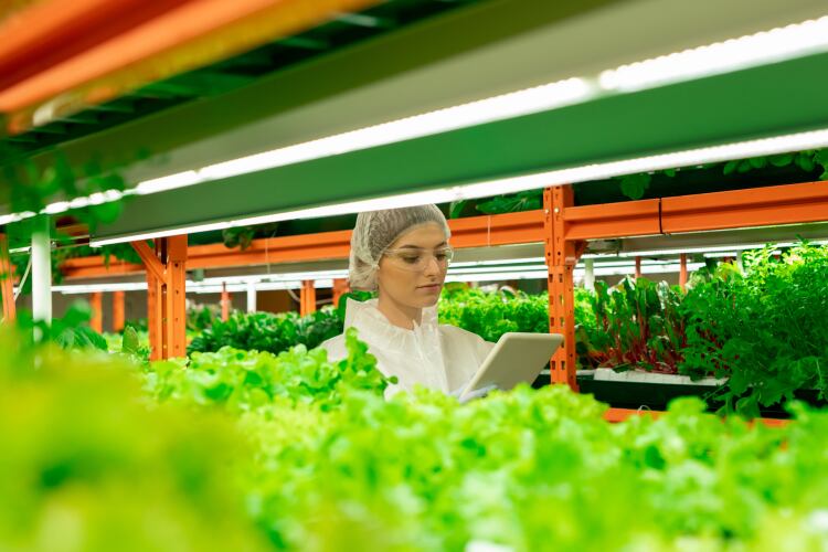 GettyImages-Shironosov-vertical-farm.png