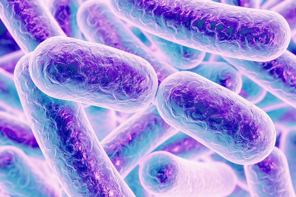 bacteria-culture-pilli-rod-microbe-microscopic.jpg