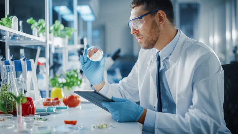 ‘People used to look at me funny… you've no idea how different it is now’: Meatable’s Daan Luining on why he’s bullish on cultured meat