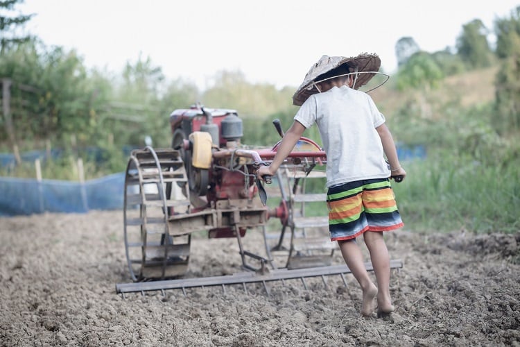 Germany outlaws human rights violations in global supply chains, but is it enough?