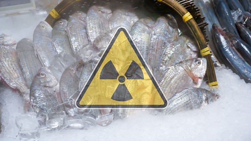 Japan-declares-it-time-to-lift-all-restrictions-on-food-exports-affected-by-Fukushima-nuclear-disaster-government-report.jpg