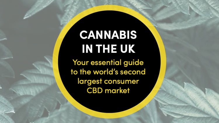 How to Enter UK’s £690M CBD Market