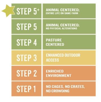5-step-GAP-plan.jpg