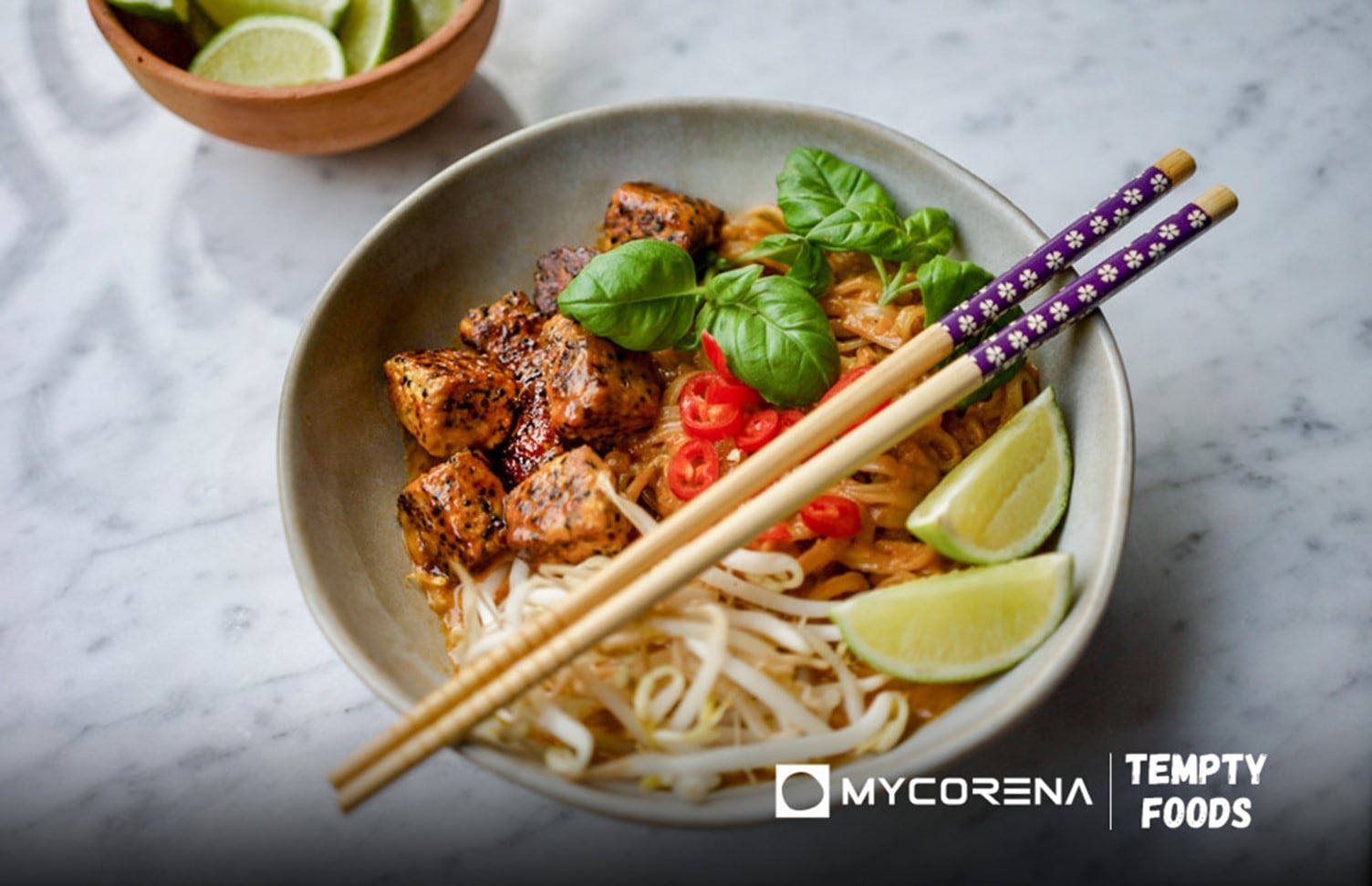 ‘We’re not trying to mimic meat’: Danish start-up taps mycoprotein for tofu and meat alternatives
