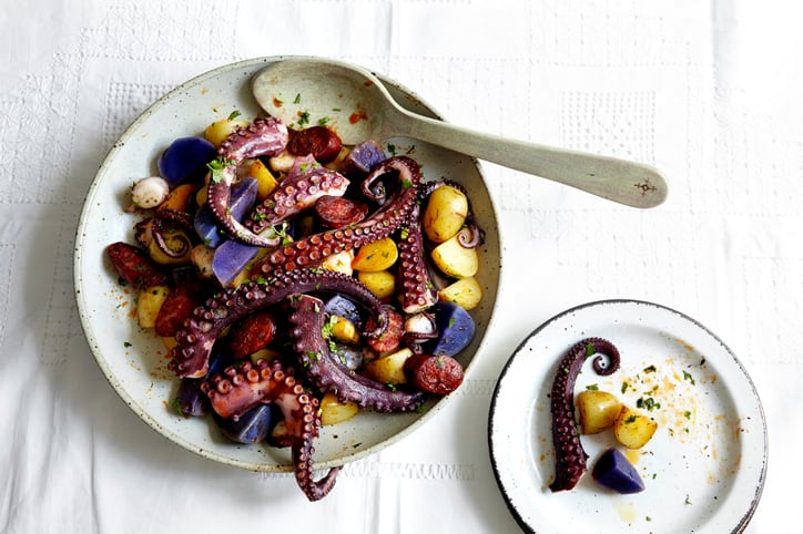 Octopus farming: Sustainability solution or recipe for disaster?