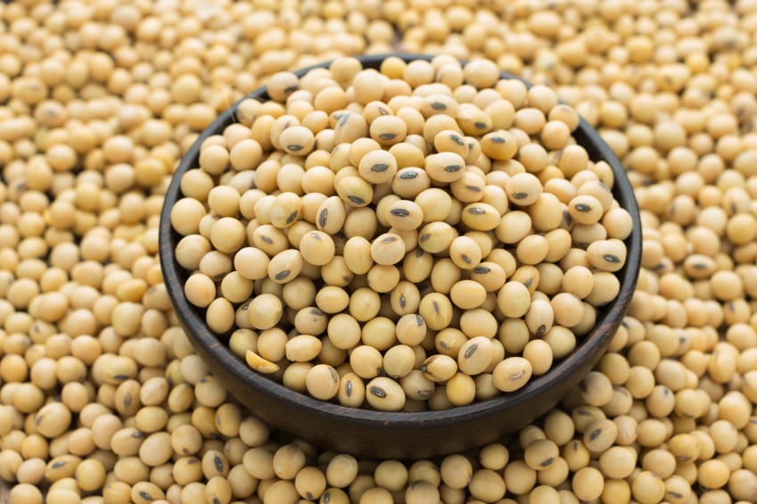 Gut-muscle axis: Soy protein intake improves muscle health in seniors