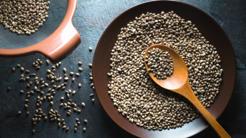 Hot Right Now: New Zealand hemp, cannabis gin, JD's new plant factory and more among our trending social media stories
