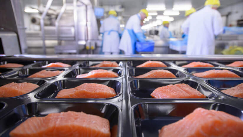 UMAMI-s-Arbiter-offers-fast-affordable-pathogen-testing.jpg