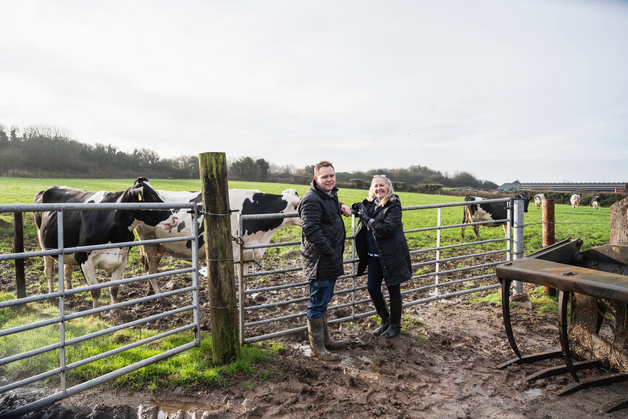 Full length view of mature Welsh farmer and senior entrepreneur in waxed jackets and Wellington boots visiting with cows at pasture gate and smiling at camera. / Female Focus Collection