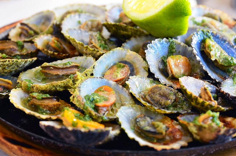 Limpet farming: an unlikely new source of sustainable protein?