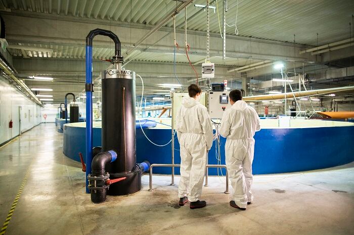 AquaMaof fishes new markets after $230 million investment