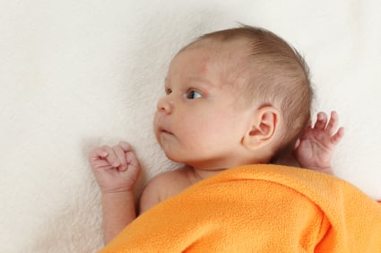 iStock_000014544167_ExtraSmall.jpg