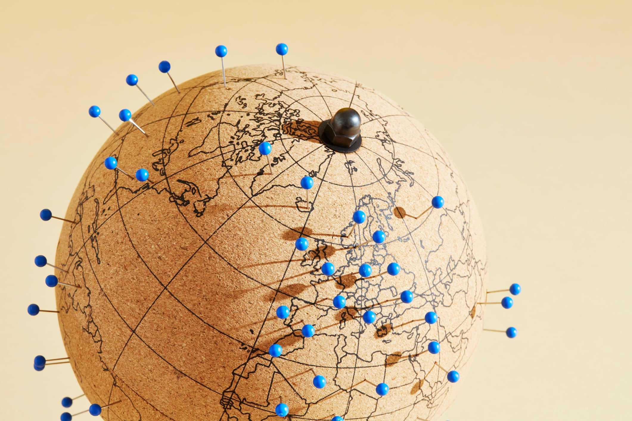The whole world