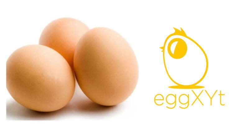 eggXYt-strategy-Israeli-startup-launches-bid-to-disrupt-the-egg-industry.jpg