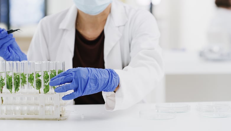 Synthetic-vs-natural-Start-up-targets-fortification-category-disruption-with-organic-plant-derived-nutrients.jpg